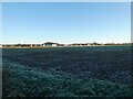 Old hangars near RAF Shawbury