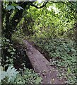 Footbridge along the Severn Way in Sterns Coppice