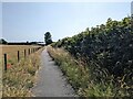 The cycleway approaching Ysguboriau