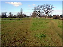 SO8701 : The Park, Minchinhampton by Helena Downton