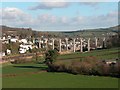 SX4368 : Calstock Viaduct by Martyn Pattison