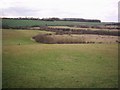 Capstone Farm Country Park