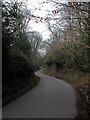 Sunken Lane near Steep Marsh