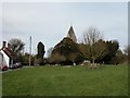 The Village green and church at Hawkley