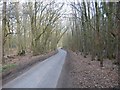 Road through Symondshyde Great Wood