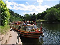 SO5615 : Cruise Boat at the Quay at Symonds Yat by Pam Brophy