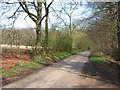 Road from Potters Crouch to Chiswell Green