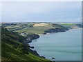 SX8237 : Hallsands and Beesands by Penny Mayes