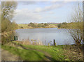 Crime Lake on the Hollinwood Branch Canal in Daisy Nook Country Park