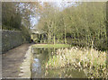 The former Waterhouses Tunnel at Daisy Nook Country Park