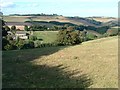 Broadmoor Copse, Nethway Wood and surroundings