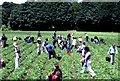 Berry pickers in the Carse of Gowrie