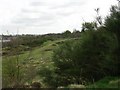 Kersal Moor, Local Nature Reserve, Salford