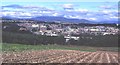 Tattie Field Near Brechin