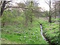 Folly Brook, Eccles, Manchester