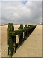 Groynes at Littlehampton