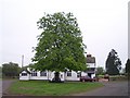 Berrow Village Hall and Village Green