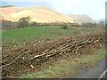 Looking northwards towards Dinas Mawddwy