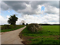 Branch Road off Bostock Lane: Near Englefield