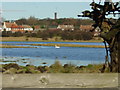 Boldon Flats nature reserve