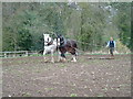 SO4589 : Horses Ploughing at Acton Scott Working Farm Museum by John Phillips
