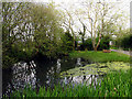 Village Pond: Upper Green