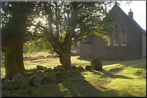 NO5390 : Forest of Birse Kirk by phil smith