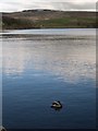 Hollingworth Lake- Northern end and dam