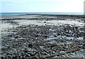 J5035 : Low Tide at Ringboy by Michael Parry
