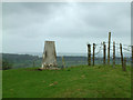 Long Knoll summit