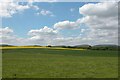 Farmland and Birch Copse.