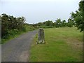 Leven Trig Point