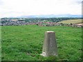 Oakley from Carneil Hill