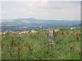 Accrington from Bottoms Farm