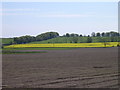 Farmland south of Murroes