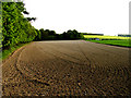 Ploughed Land: East Hendred