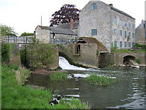 ST4222 : Thorney Mill by Liz Martin