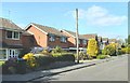 Houses on Willow Pool Lane