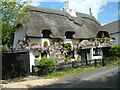 Thatched Cottage