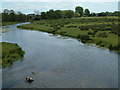 Mill Stream, Ringwood