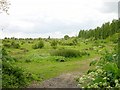 Borden Nature Reserve