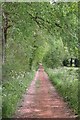 Bridleway through farmland