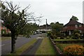 Housing estate on the East side of Liss village.