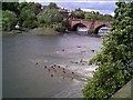 Tidal River Dee West of the Old Dee Bridge