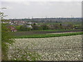 Farmland, Wakefield