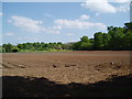 Farmland east of Mount Segg