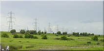 TQ9069 : Pylons across the marsh by Penny Mayes