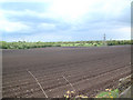 Farmland in Upholland