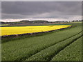 Farmland north of Leyshade