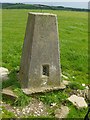 TQ0909 : Blackpatch Hill Trig Point. by Janine Forbes